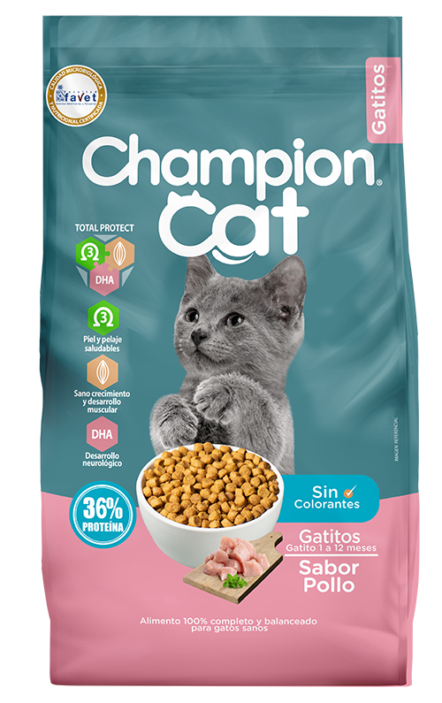 Champion Cat Gatitos 20 Kg