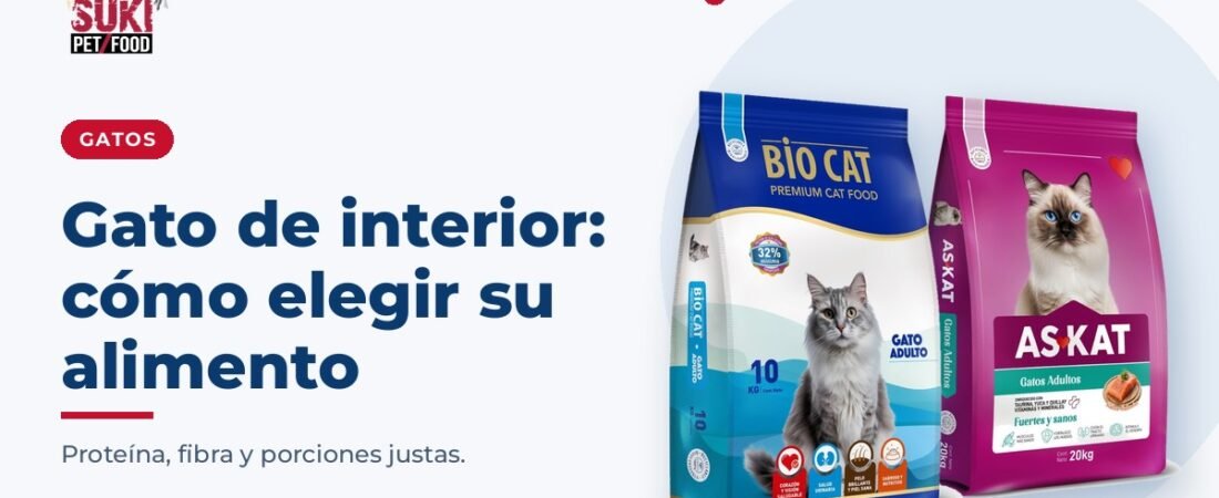 Cómo elegir alimento para un gato de interior: guía práctica