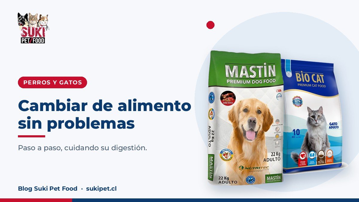 Cómo cambiar de alimento sin que tu mascota se enferme del estómago