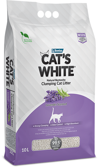 Cat's White Lavender 10 L