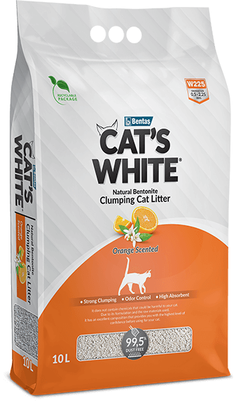 Cat's White Orange 10 L