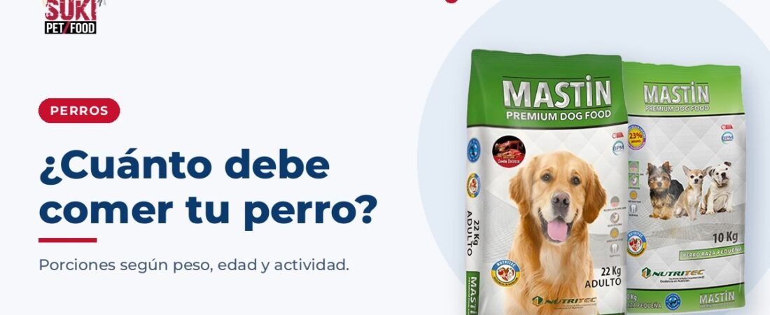 ¿Cuánto debe comer tu perro según su peso? Guía orientativa