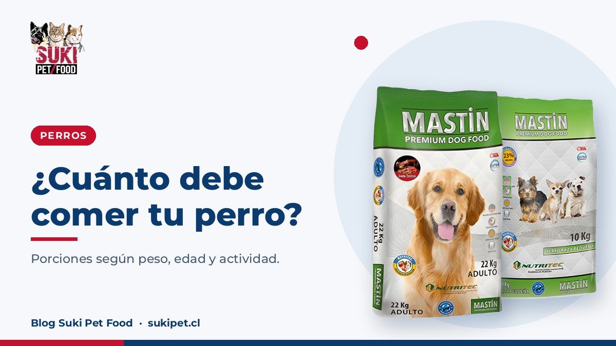 ¿Cuánto debe comer tu perro según su peso? Guía orientativa